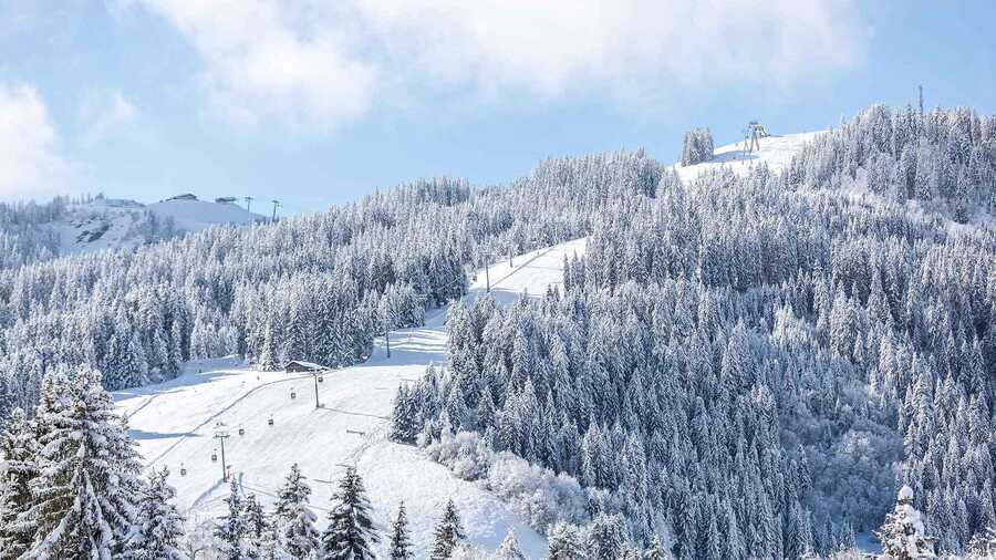 St Gervais ski area piste and snowy trees